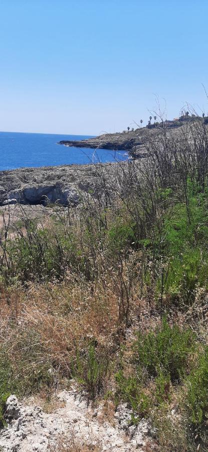 Very Smail House Αουγκούστα Εξωτερικό φωτογραφία