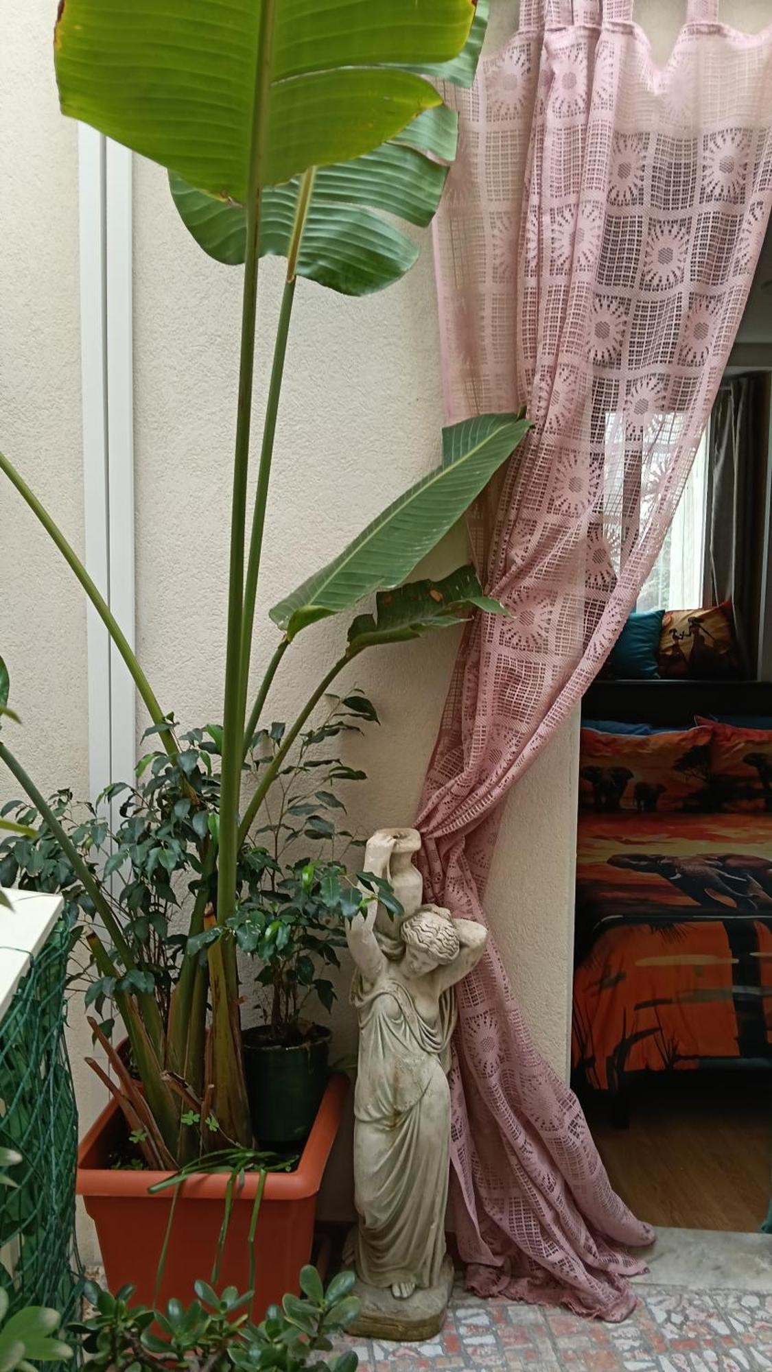 Very Smail House Αουγκούστα Εξωτερικό φωτογραφία